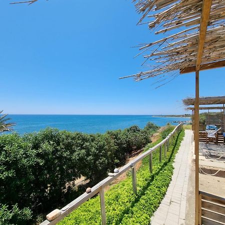 Summer Dream Cyprus Bed and Breakfast Μαρώνι Εξωτερικό φωτογραφία