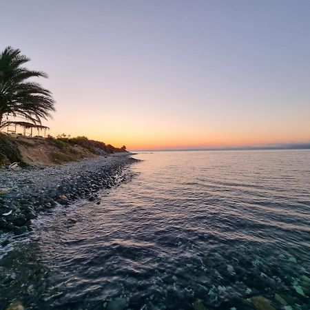 Summer Dream Cyprus Bed and Breakfast Μαρώνι Εξωτερικό φωτογραφία