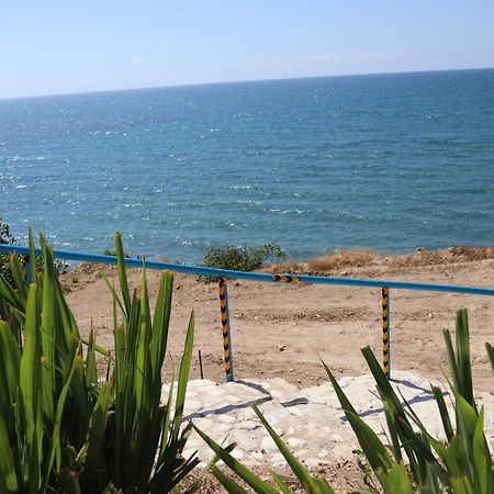 Summer Dream Cyprus Μαρώνι Εξωτερικό φωτογραφία