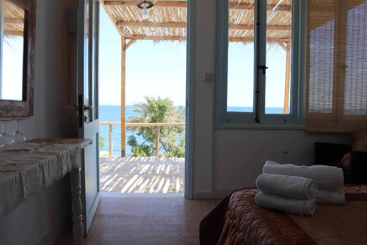 Summer Dream Cyprus Bed and Breakfast Μαρώνι Εξωτερικό φωτογραφία