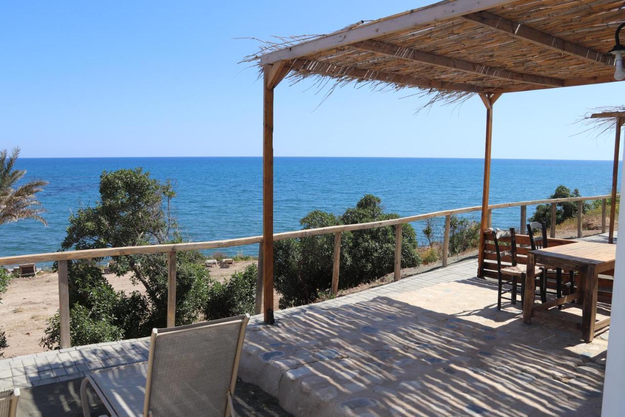 Summer Dream Cyprus Bed and Breakfast Μαρώνι Εξωτερικό φωτογραφία