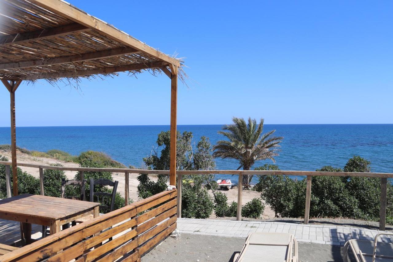 Summer Dream Cyprus Bed and Breakfast Μαρώνι Εξωτερικό φωτογραφία