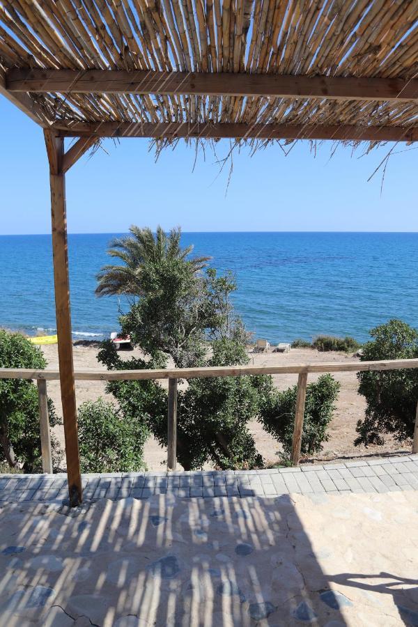 Summer Dream Cyprus Bed and Breakfast Μαρώνι Εξωτερικό φωτογραφία