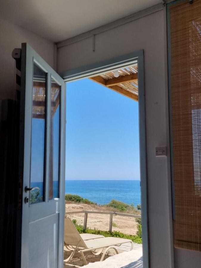 Summer Dream Cyprus Bed and Breakfast Μαρώνι Εξωτερικό φωτογραφία