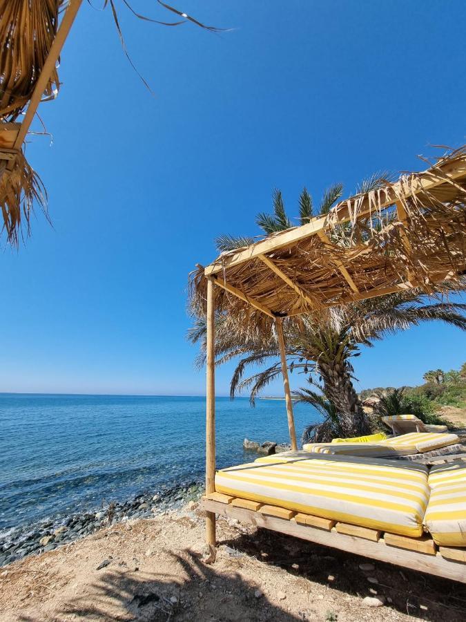 Summer Dream Cyprus Bed and Breakfast Μαρώνι Εξωτερικό φωτογραφία