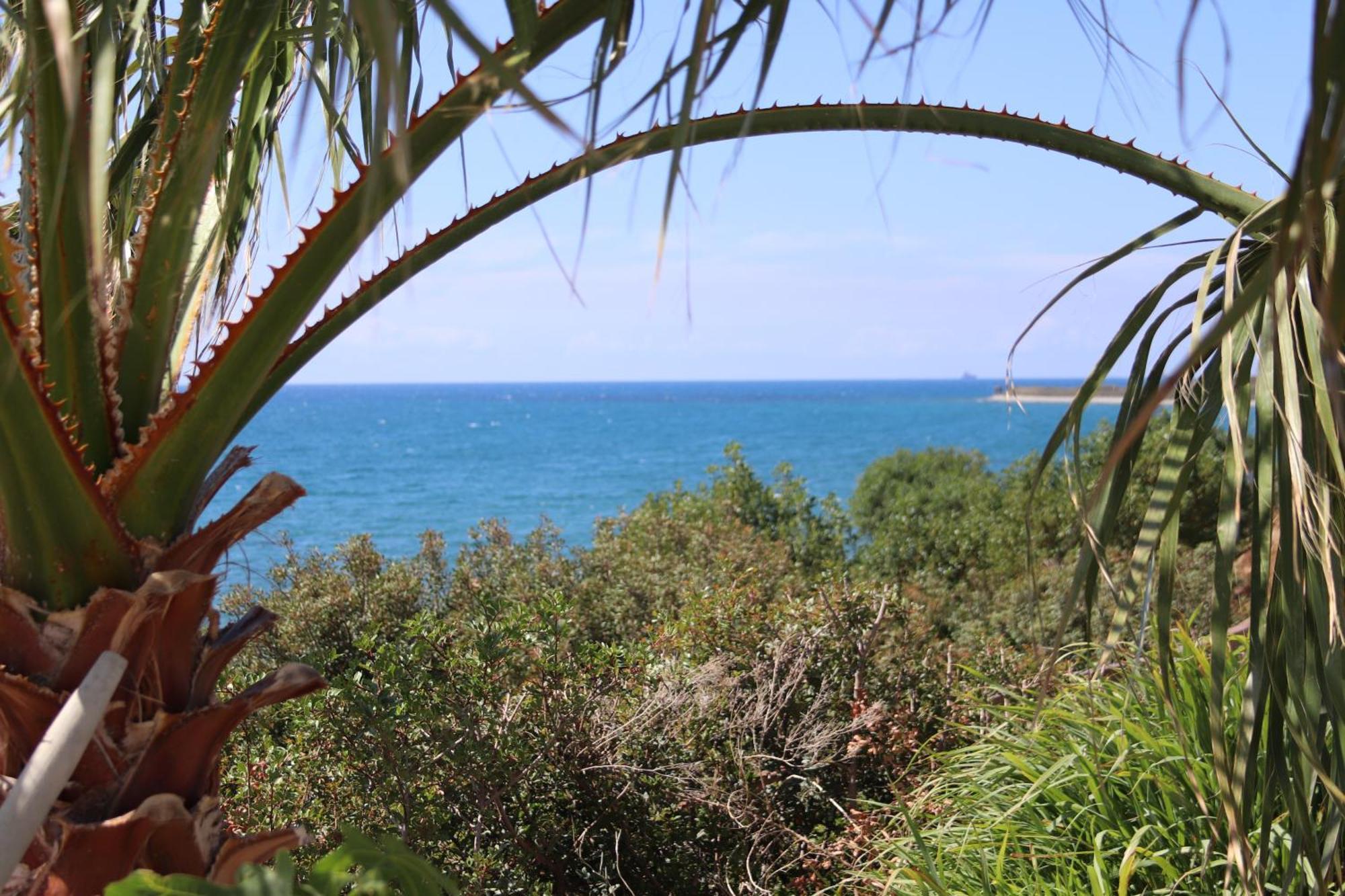 Summer Dream Cyprus Μαρώνι Εξωτερικό φωτογραφία